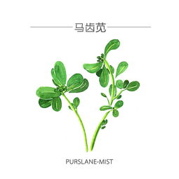 描寫動(dòng)物和植物的詩(shī)句,有動(dòng)物和植物的詩(shī)句,帶動(dòng)物和植物的詩(shī)句