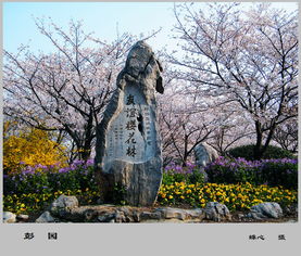 關于彭園的詩句