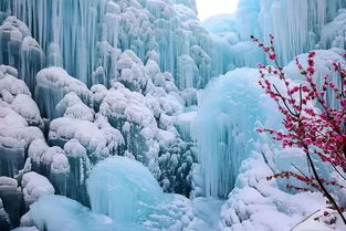 雪的古詩句南秦雪