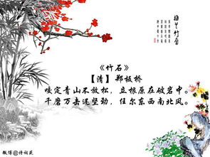 關(guān)于菊詩(shī)句古詩(shī)詞