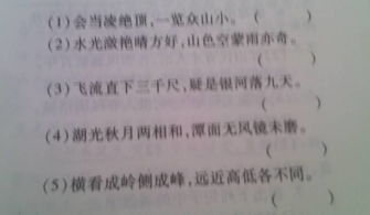 寫(xiě)出幾條關(guān)于黃河的著名詩(shī)句