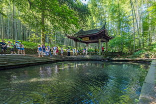 坐在亭子里賞景的古詩句