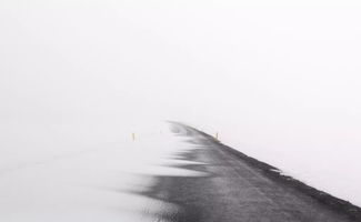 關(guān)于原則和底線的詩句