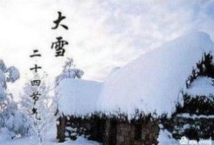 關(guān)于雁南飛的詩句(80條詩句),關(guān)于雁南飛思念的詩句,有關(guān)秋天雁南飛的詩句