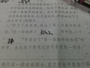 描寫杏花的古詩句有什么意思