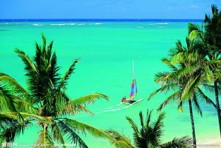 關(guān)于大海陽(yáng)光沙灘的詩(shī)句