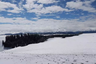 關(guān)于雨或雪的詩句