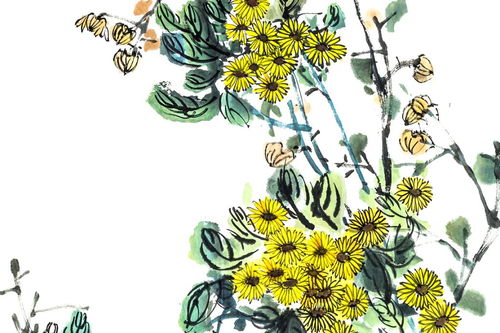 小學(xué)描寫(xiě)菊花詩(shī)句古詩(shī)大全