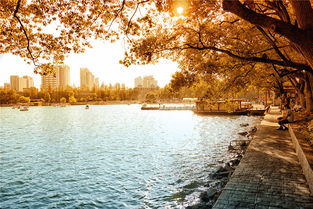 關(guān)于六朝古都的詩句