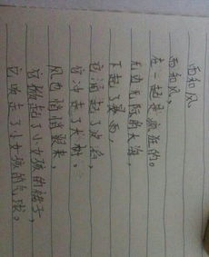 關(guān)于狂風的詩句古詩大全