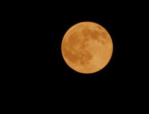 月亮,詩(shī)句,中秋