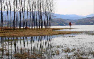 關(guān)于舒城的詩句