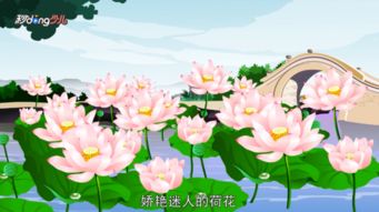 描寫西湖荷花的詩(shī)句古詩(shī)