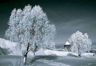 古詩,詩句,描寫,大全