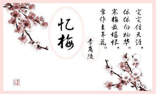 寫一首關于梅花的詩句