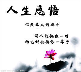 感嘆兒子長(zhǎng)大的古詩(shī)句