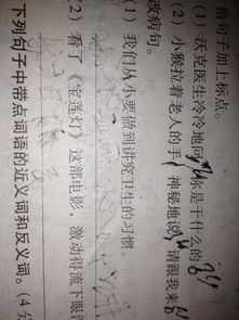 古詩中含有桃的詩句有什么作用