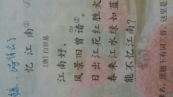 關(guān)于醬料的詩(shī)句