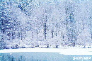 關于詠雪的詩句大全