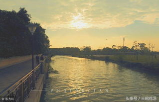 詩句,遺憾,表達(dá),愛情