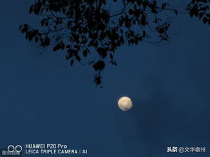 關(guān)于望月的詩(shī)句古詩(shī)詞