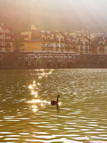 古詩帶露的詩句