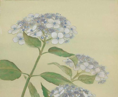 關(guān)于友情深的詩(shī)句