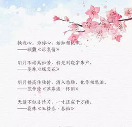 歡迎客人的古詩句,歡迎來客的古詩句,歡迎新人加入的古詩句