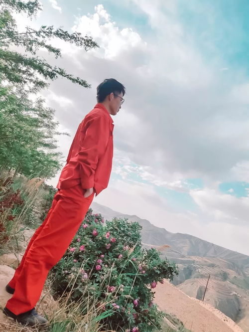 關于跆拳道的詩句