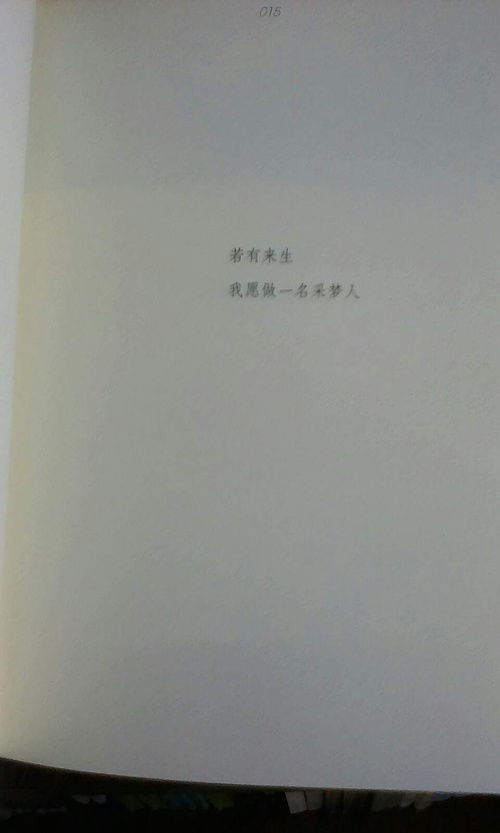 有關(guān)于質(zhì)疑自己的詩句