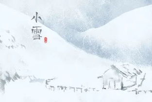 有沒有關(guān)于節(jié)氣小雪的詩(shī)句