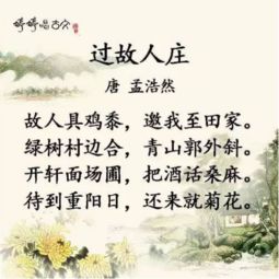 古詩(shī),詩(shī)句,形容,夏天