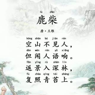 鹿柴古詩(shī)詩(shī)句意思