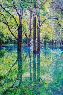 有關(guān)荔波的古詩(shī)句