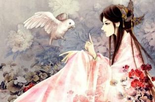 古詩詞中描寫眼睛的詩句