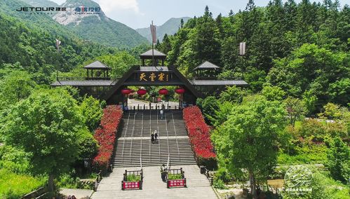 描述原始森林的美句,原始森林是搖籃擴句,描寫原始森林的好詞好句