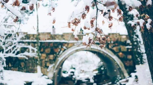 詩(shī)句,做人,學(xué)會(huì)