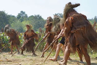 關(guān)于高粱豐收時(shí)的詩句