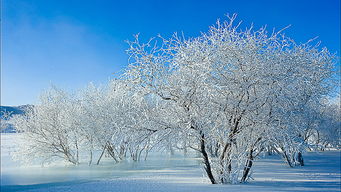 古詩詞,詩句,形容,冬天