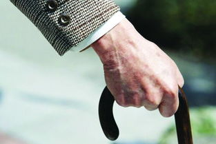 有關(guān)于退休領(lǐng)導(dǎo)的詩(shī)句