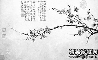 關(guān)于花贊美的詩(shī)句古詩(shī)