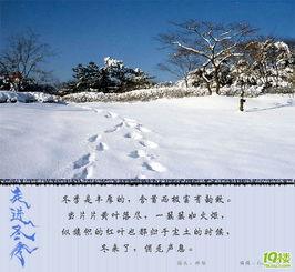 詩(shī)句,美圖,冬季