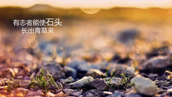 奔波在路上的勵志古詩句