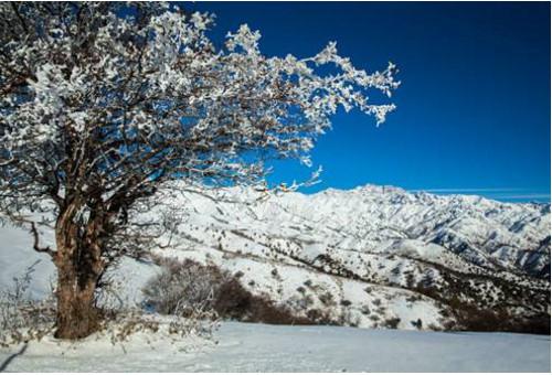 描繪暖陽的古詩句