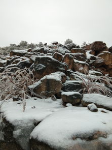 關(guān)于冬日賞雪詩句