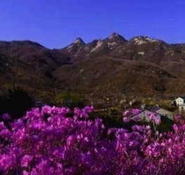 關(guān)于山林的空靈的詩(shī)句