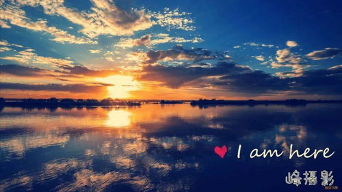 關(guān)于秋花開花謝的詩句