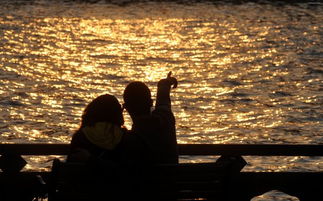 關(guān)于愛人遠(yuǎn)去的詩句