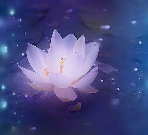 百花齊放的古詩(shī)句