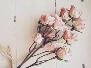 關(guān)于茅塞頓開的詩句